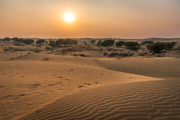 View during sunrise at great thar desert in Jaisalmer, Rajasthan, India.
