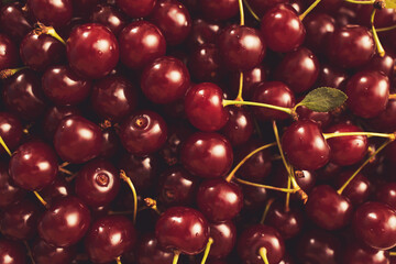 Close up of pile of ripe cherries with stalks and leaves. Large collection of fresh red cherries. Ripe cherries background. Cherry background, top view. summer juicy fruits