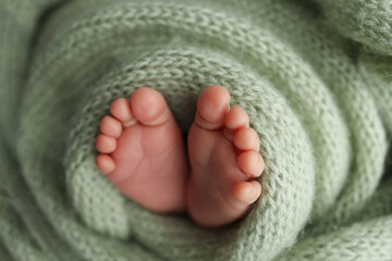 The tiny foot of a newborn. Soft feet of a newborn in a olive green woolen blanket. Close up of toes, heels and feet of a newborn baby. Studio Macro photography. Woman's happiness.