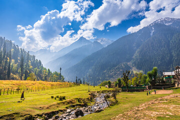 Serene Landscape of Aru valley near Phalgam town in Anantnag district of Jammu and Kashmir, India. It is famous for lush green meadows, snow-capped peaks and scenic trekking trails. © anjali04