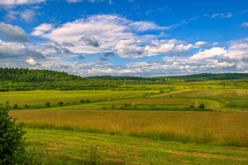 Fototapeta premium field and sky