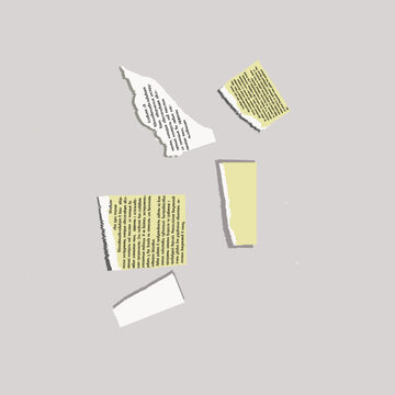  old paper notebook, newspaper, scrapbook, torn old sheet