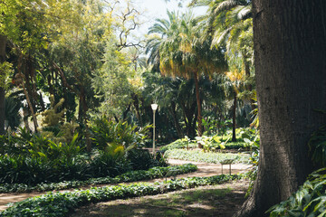 Malaga, Spain: A Vibrant Blend of Urban and Coastal Summer Landscapes