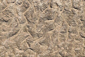 Background, texture of a wall with relief rough plaster