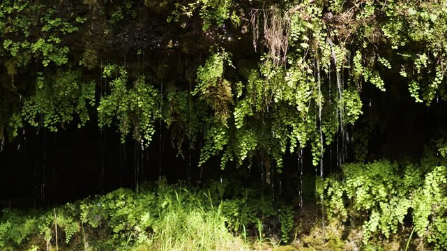 Adda, river, flowing water, Crespi d'Adda, Vaprio d'Adda, Calolziocorte, Calusco d'Adda, Lecco, mountain, clear water, dramatic nature, stream, brook, lush, fresh, beautiful, forest, green, ecology