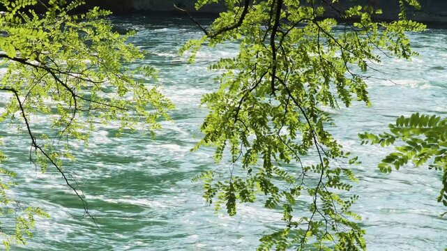 Adda, fiume Adda, Crespi d'Adda, river, wild rivers, flowing water, bright, water, riverside, trees, tree, wood, Vaprio d'Adda, Calolziocorte, Calusco d'Adda, mountain, clear water, nature