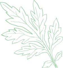 Mugwort Line art