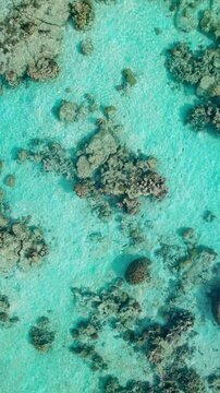 Vue drone d'un jardin de Corail &agrave; Tahiti