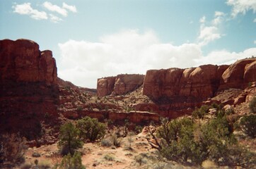 Fototapeta premium red rock canyon