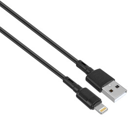 cable with Lightning and USB connector