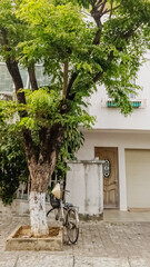 Vintage bicycle leaning against a tree in front of a rustic white house, evoking a nostalgic and serene holiday