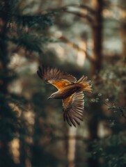 A bird soaring through the sky, captured in a moment of freedom and beauty