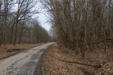 Cut wood by the meter is stacked and ready for heating for the winter. © Roman Bjuty