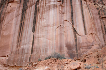 Multi-colored wall on the Grand Wash Trail, Capitol Reef National Park, Utah
