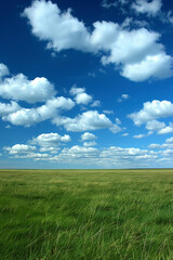 Fototapeta premium Nature landscape with grass and blue sky with clouds