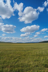 Nature landscape with grass and blue sky with clouds
