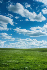 Fototapeta premium Nature landscape with grass and blue sky with clouds