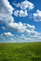 Nature landscape with grass and blue sky with clouds