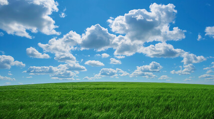 Obraz premium Nature landscape with grass and blue sky with clouds