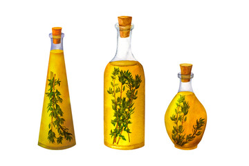 A bottle of fragrant olive oil with spices and thyme, watercolor hand painted, isolated on white background. It can be used for prints on textile and paper, for clothes, for plates and dishes design