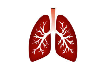 human lungs, respiratory organ, diagnostic symbol. Vector