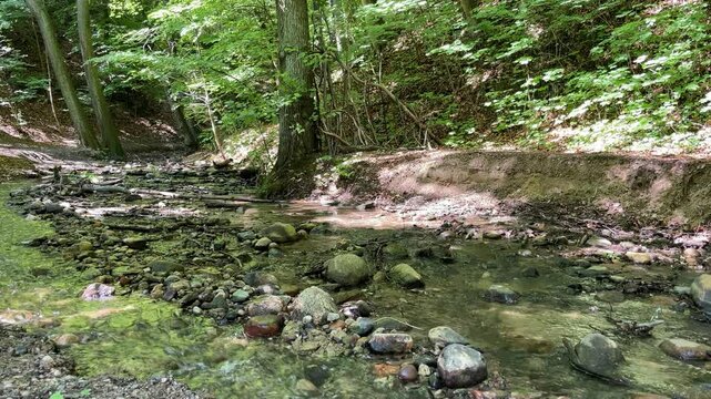 A forest creek on a sunny summer day. A swift current in the rocky riverbed surrounded by lush summer greenery. 4K Video.
