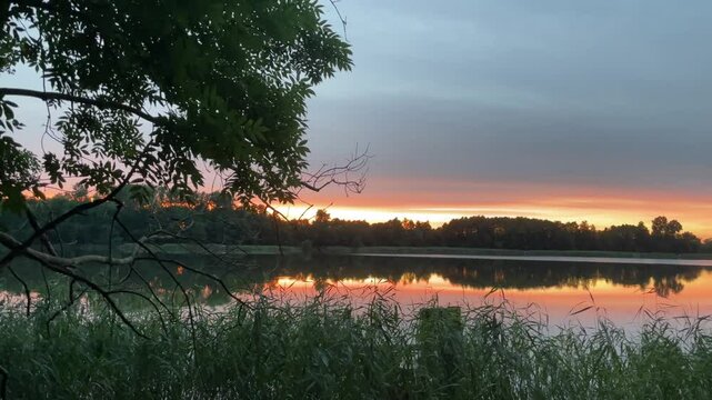 A picturesque sunset over a lake surrounded by forest. Panning view from between rushes and tree branches. Budget summer vacation concept for tourism. 4K Video.