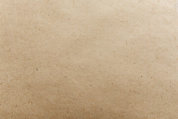 Detailed Texture on Kraft Beige Paper