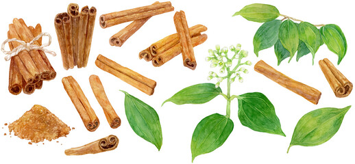 シナモンの水彩イラストセット　シナモンスティック・シナモンパウダー・花・葉