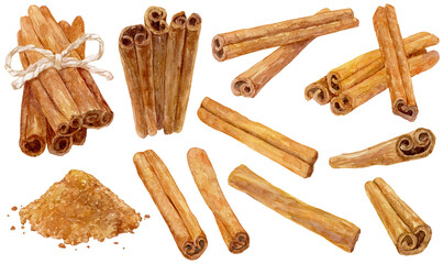 シナモンスティックの水彩イラストセット