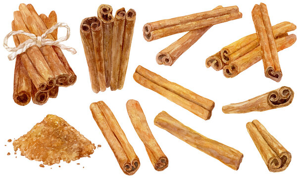 シナモンスティックの水彩イラストセット