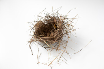 Obraz premium Empty Bird's Nest on White Background