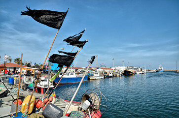 Fishing boats with black flags in the port of Saint-Cyprien, commune in the Pyrénées-Orientales...