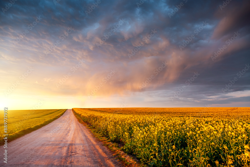 Poster multicolored storm clouds illuminated by rays at sunset.
