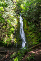 waterfall in the forest