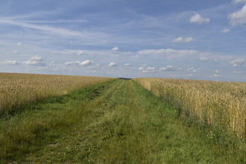 Obraz premium Landschaft an der Grenze zwischen NRW und Niedersachsen