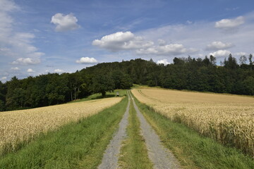 Landschaft an der Grenze zwischen NRW und Niedersachsen