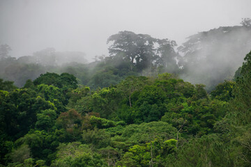 Cascada en Montañas de Boquete