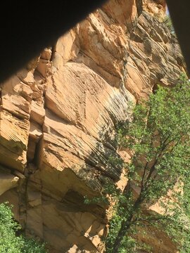 oak creek canyon wall, arizona