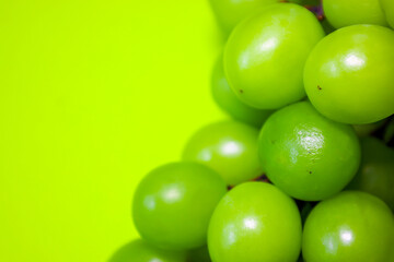 グリーン背景のマスカット