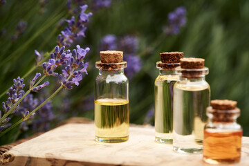 Essential oil bottles with blooming lavender plant outdoors