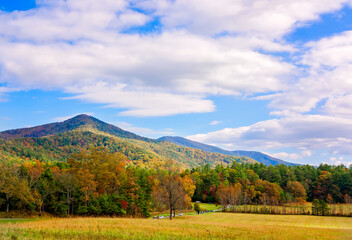 Obraz premium Fall foliage in Cades Cove at Great Smoky Mountains National Park in Tennessee