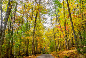 Fall foliage in Cades Cove at Great Smoky Mountains National Park in Tennessee