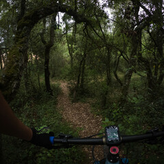 Riding a mountain bike on a single track in the middle of the woods rider point of view with a GPS...