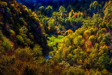 Fototapeta premium Hyrcanian Forests (Chenar Bon). The Hyrcanian forests are a zone of lush lowland and montane forests covering about 55,000 square kilometres near the shores of the Caspian Sea in Iran and Azerbaijan. 