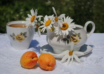 Vase with daisies, cup of tea and apricots on a table in the garden