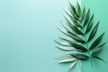 Fototapeta premium Minimalist and modern photo of green palm leaves on a turquoise background symbolizing freshness and simplicity