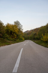 Summer country road with trees beside. Rural environment road. Nature road. Asphalt road.