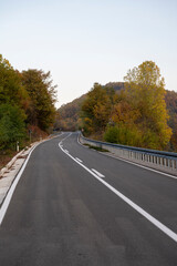 Summer country road with trees beside. Rural environment road. Nature road. Asphalt road.