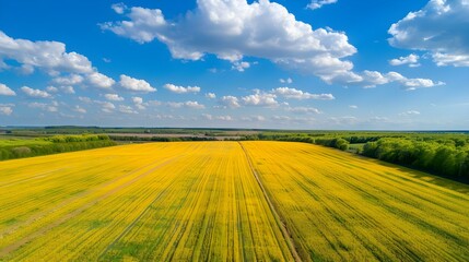 Obraz premium Aerial view of rural farmland landscape
